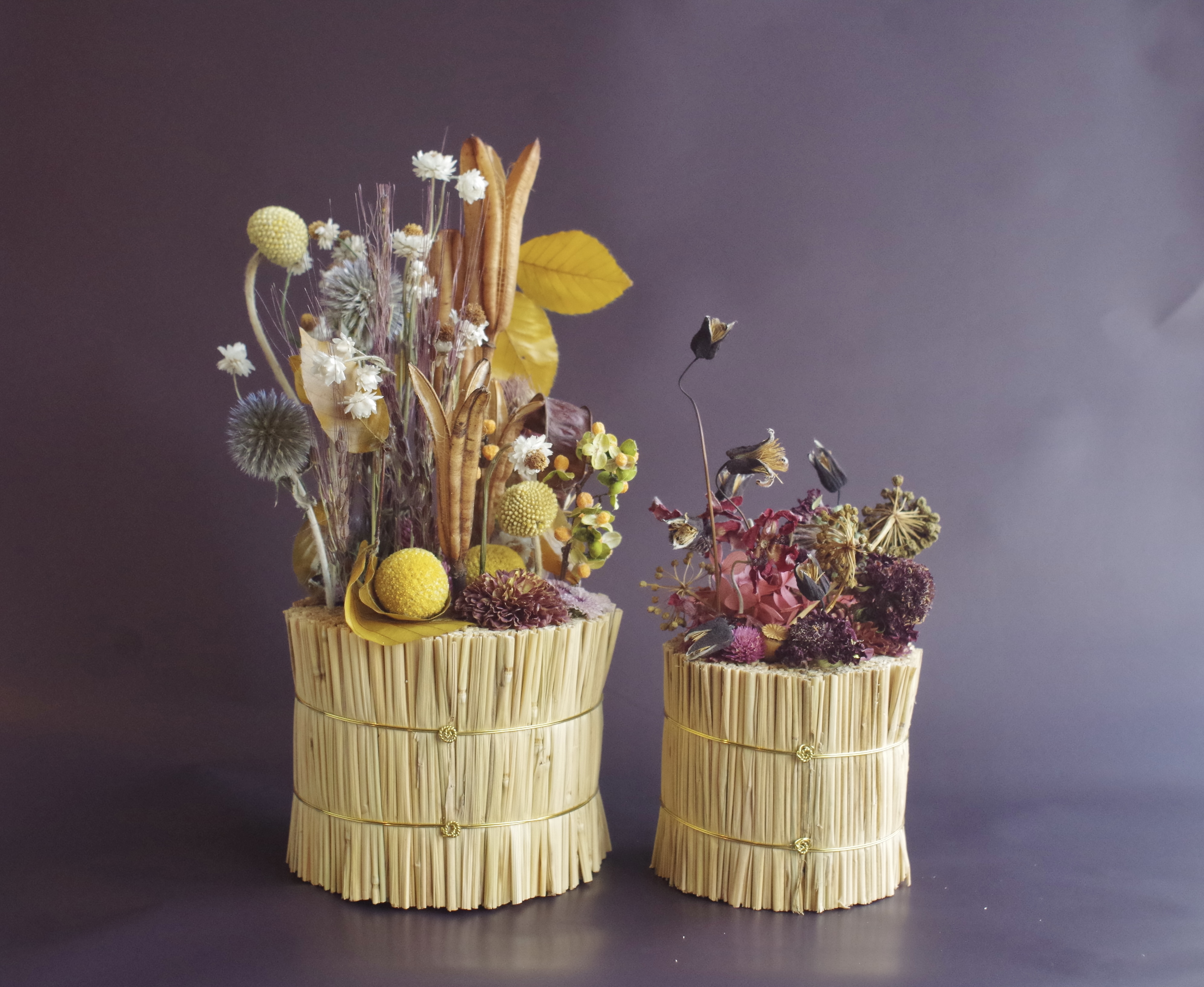 Collaborationイメージ04